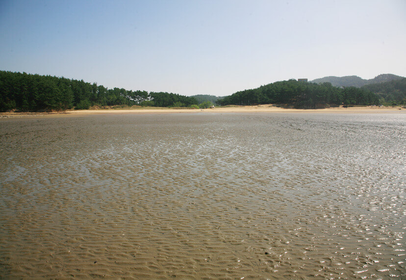 사목해수욕장