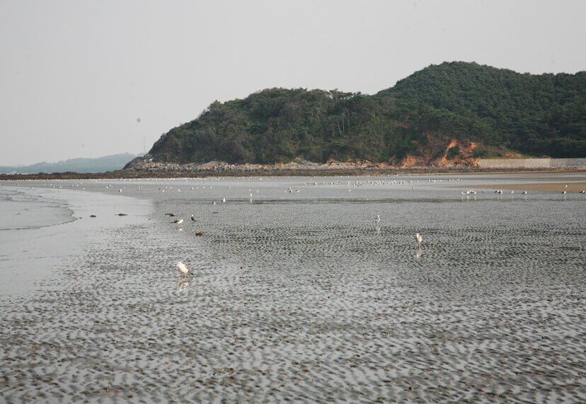 밧개해수욕장