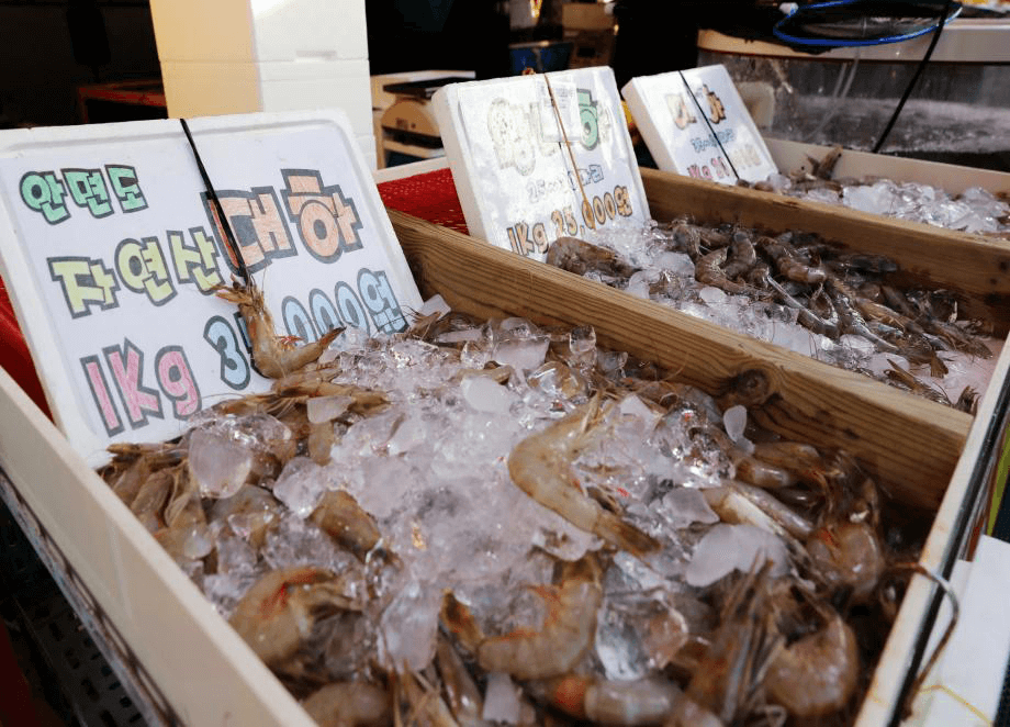 Anmyeondo Beach Shrimp Festival