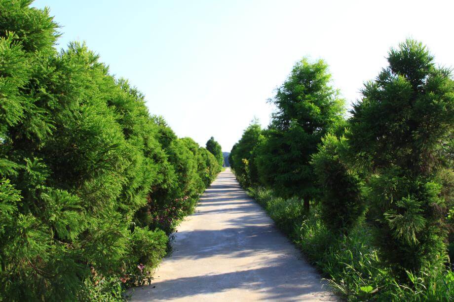 Green Rich Farm