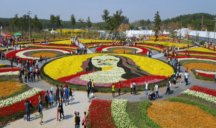 Taean Tulip Festival (April~May)