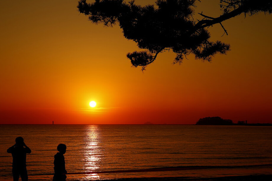 夢山海辺