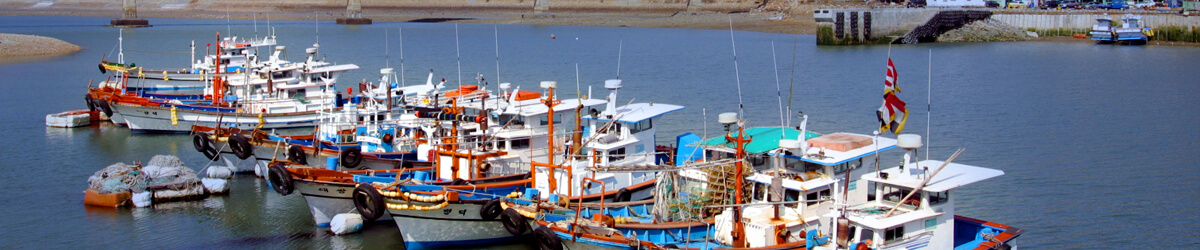 Tourism and Culture 