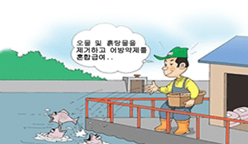 오물 및 흙탕물을 제거하고 어방약제를 혼합급여..