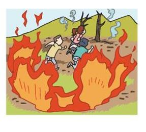 산불의 진행경로에서 벗어나야합니다.