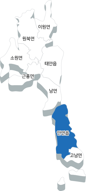 안면읍