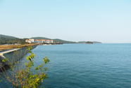 새섬